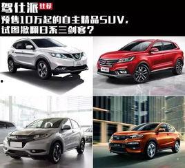 精品国产自,探索我国自主创新的辉煌成就