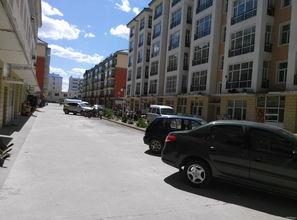 国产社区,构建和谐共生的网络家园